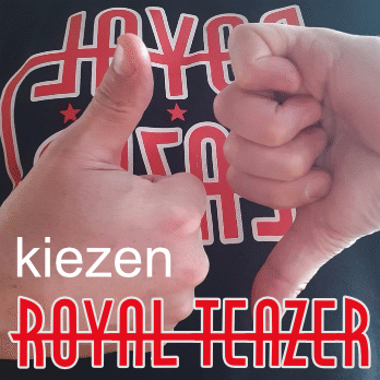 Kiezen album cover